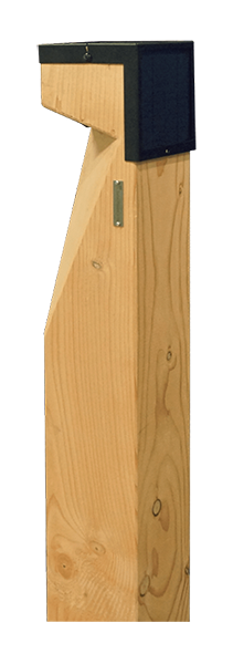 woodle-polar-600px